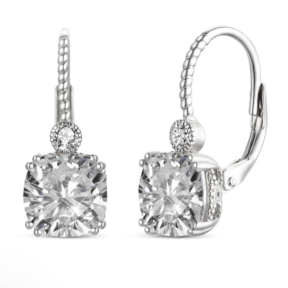 Elegant Silver Drop Earrings